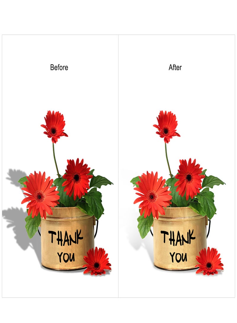 رأس ارتداد فلاش 580EX مع صندوق إضاءة ناعمة وحافظة وموزع إضاءة لكاميرات YONGNUO YN560/YN560 II/YN560 III/YN560 IV/YN565EX/YN565EX II وكاميرات Canon 580EX/580EX II - Image 3